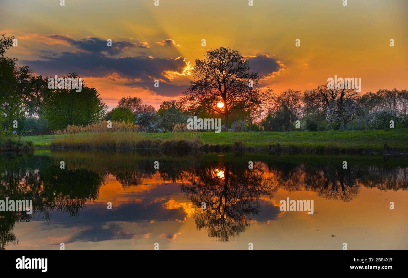Tramonto in una giornata primaverile in Alsazia in Francia Foto Stock