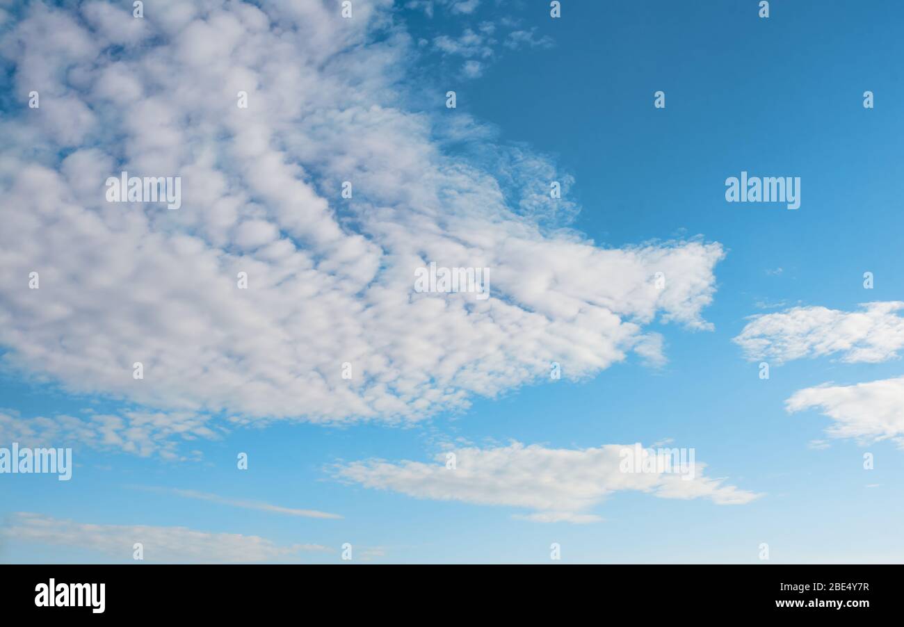 Cirro bianco, nuvole di piume contro primavera cielo nuvoloso blu brillante in sole giornata in Inghilterra Foto Stock