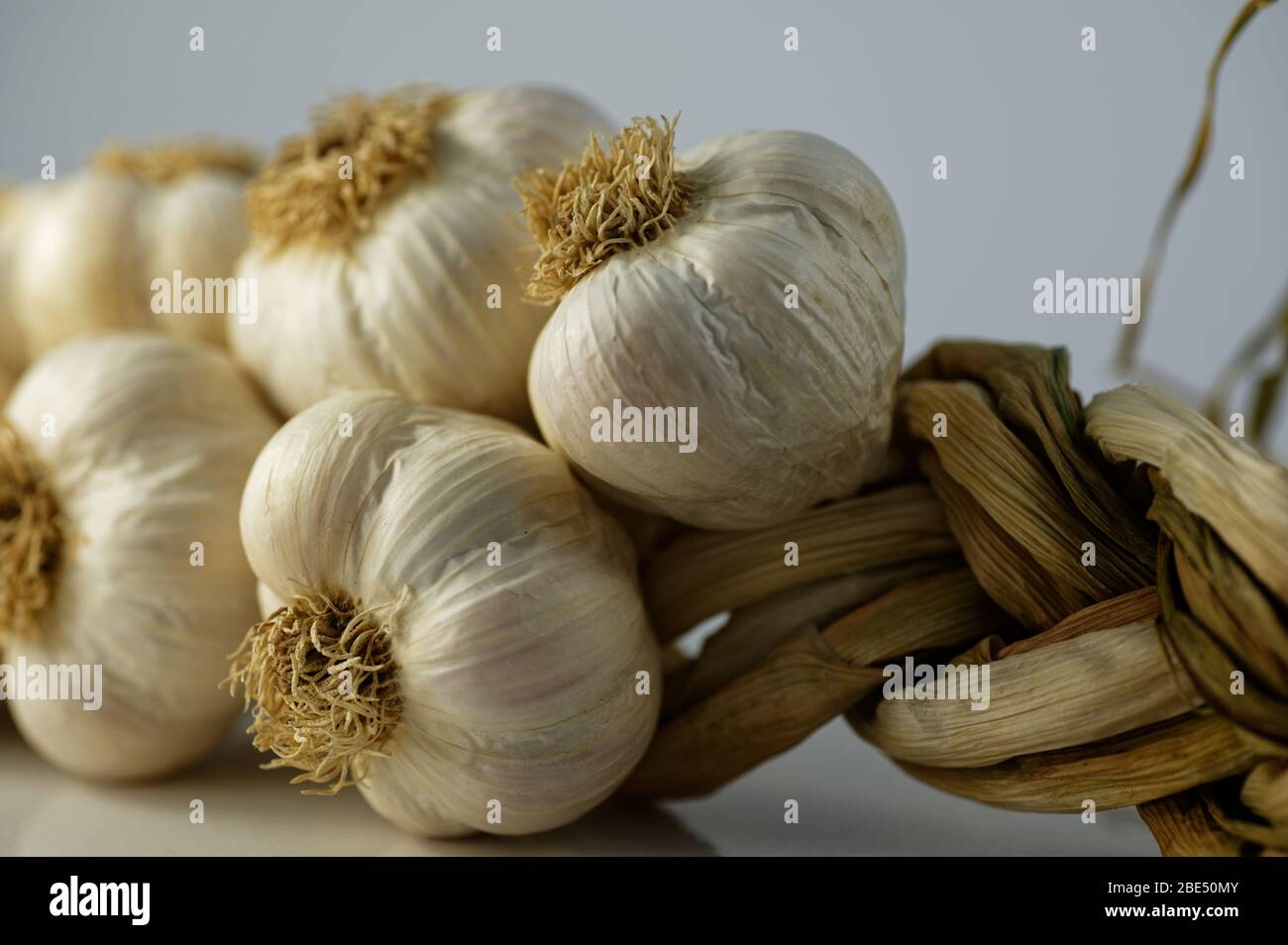 La pelle bianca cremosa dei bulbi d'aglio in contrasto con i loro gambi secchi che sono stati intrecciati Foto Stock