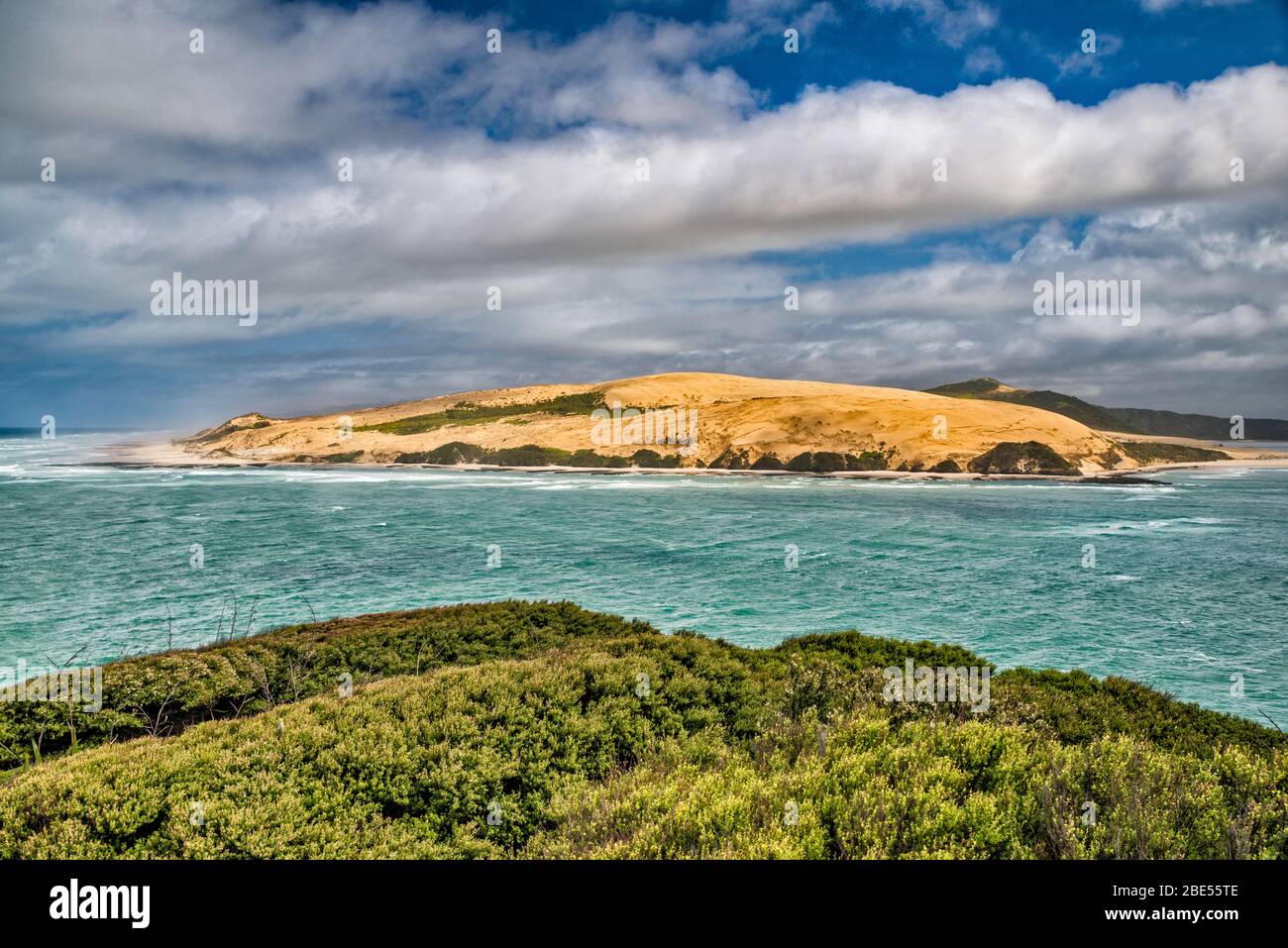 Dune di sabbia di North Head, Hokianga Harbour, Tasman Sea, vista da South Head, Arai te Uru Scenic Reserve, vicino a Omapere, North Island, Nuova Zelanda Foto Stock