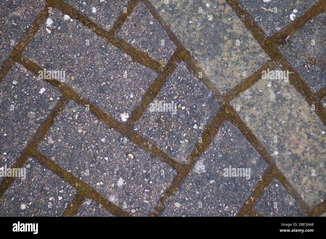 Lastre da patio grigio stagionato in motivo a spina di pesce con muschio tra i blocchi Foto Stock