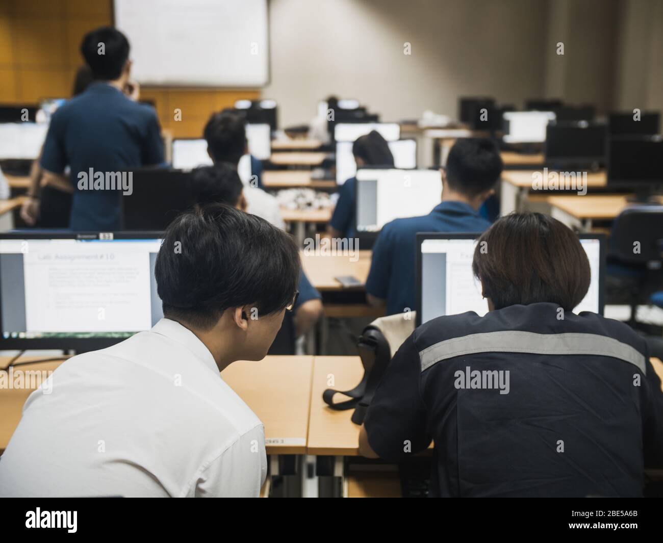 Studenti che lavorano insieme in sala computer durante il seminario di lezione Foto Stock