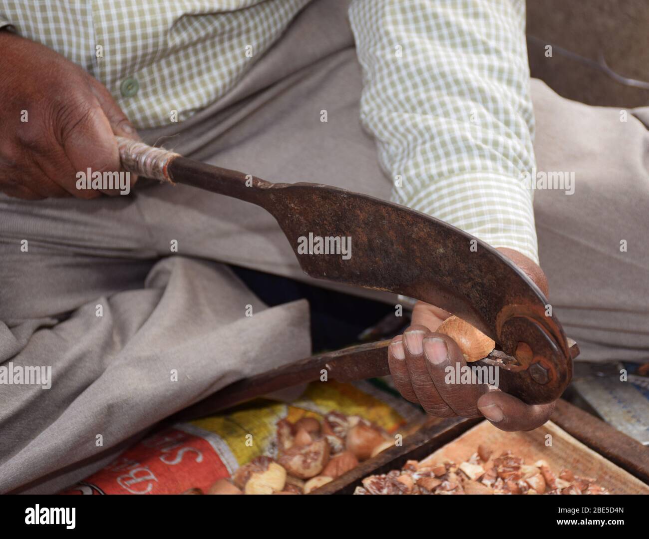 Un indiano paan wala o venditore di dadi di betel che taglia i dadi di Betel con il suo rompigranella di noci Foto Stock