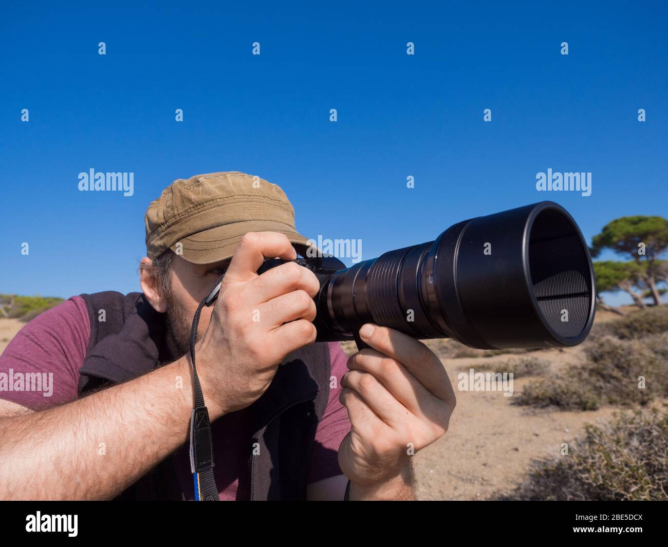 Un fotografo di savana che fotografa una vita selvaggia di un animale. Foto ravvicinata. Foto Stock