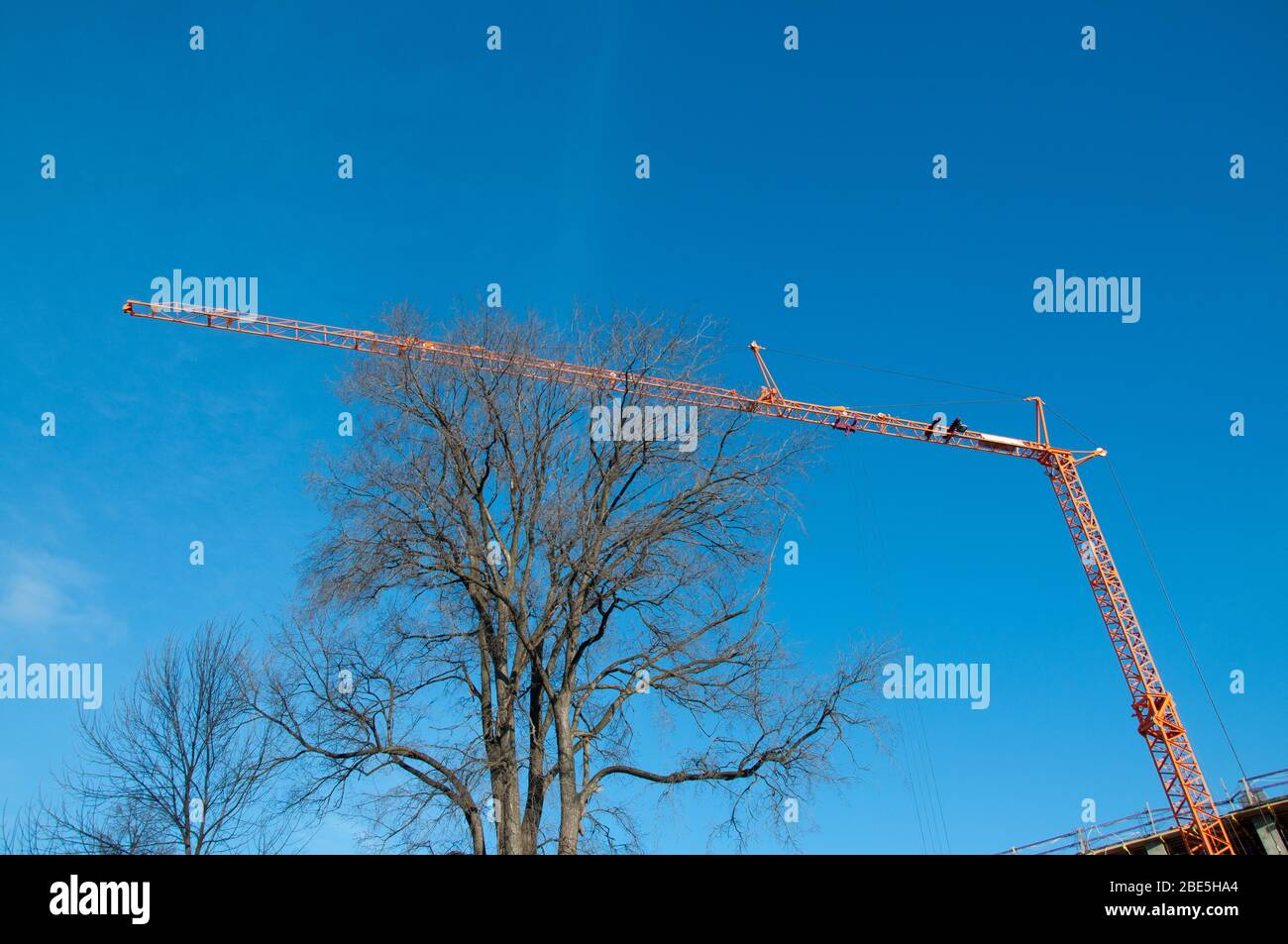Attrezzature di sollevamento presso il cantiere. Gru da costruzione e cielo blu Foto Stock