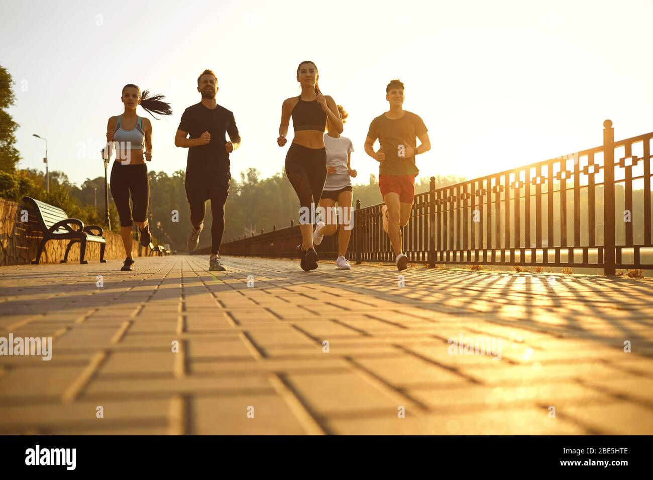 Gruppo di corridori nel parco la mattina. Foto Stock