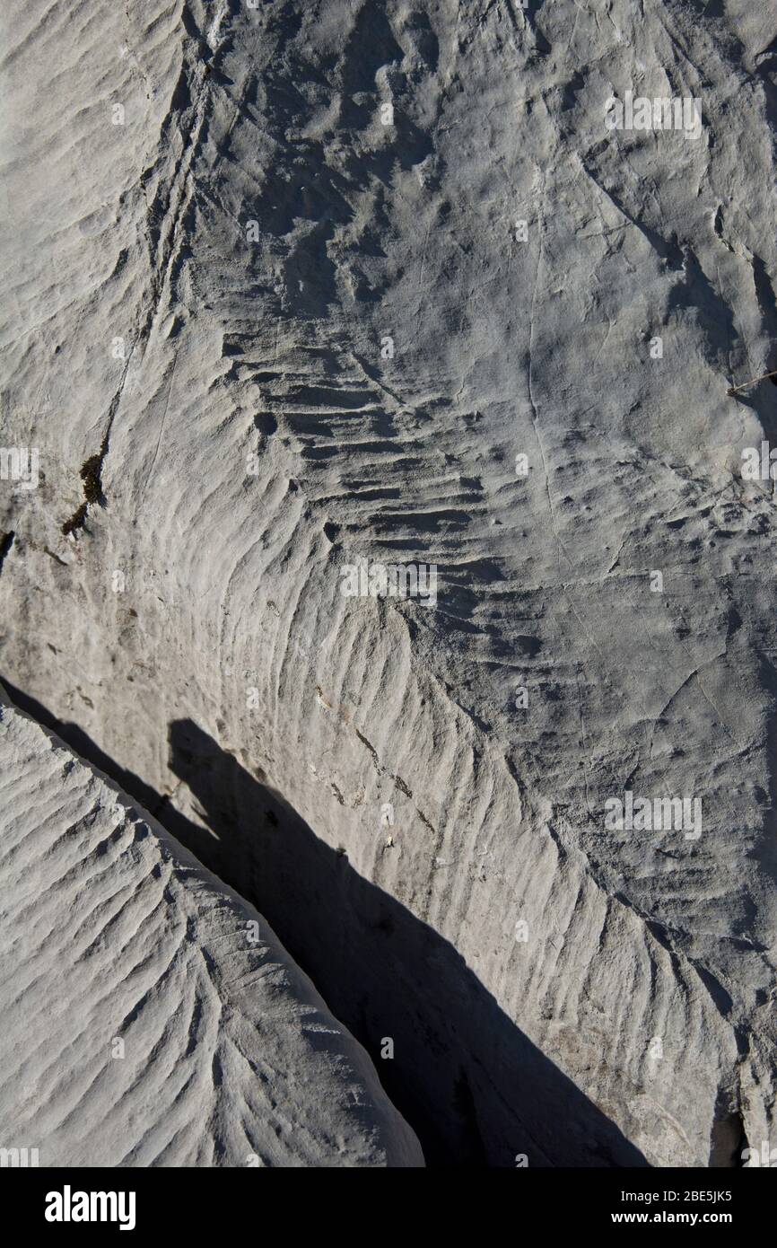 Karstlandschaft auf der Hochebene rund um Chilchbüelen, Schwyz, Schweiz Foto Stock