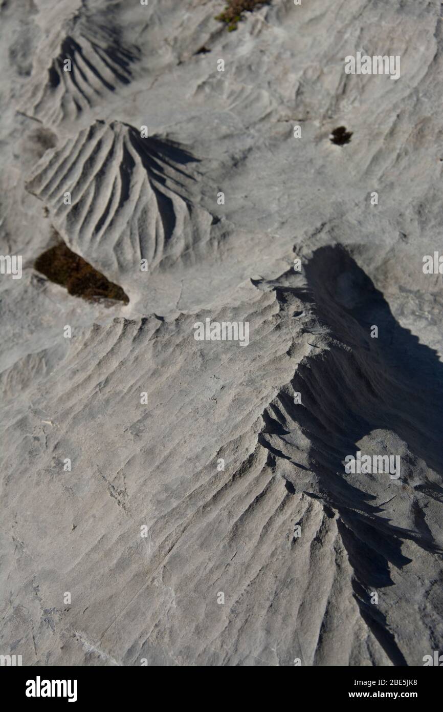 Karstlandschaft auf der Hochebene rund um Chilchbüelen, Schwyz, Schweiz Foto Stock