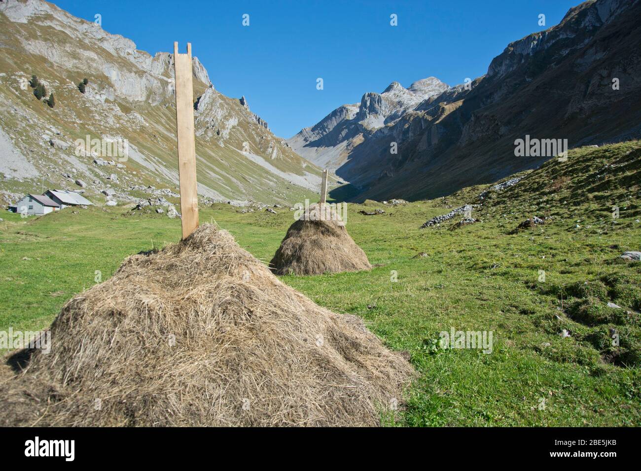 Tradizionelle Heustöcke im Rätschtal, einem Nebental des Muotathals, Kanton Schwyz, Schweiz Foto Stock