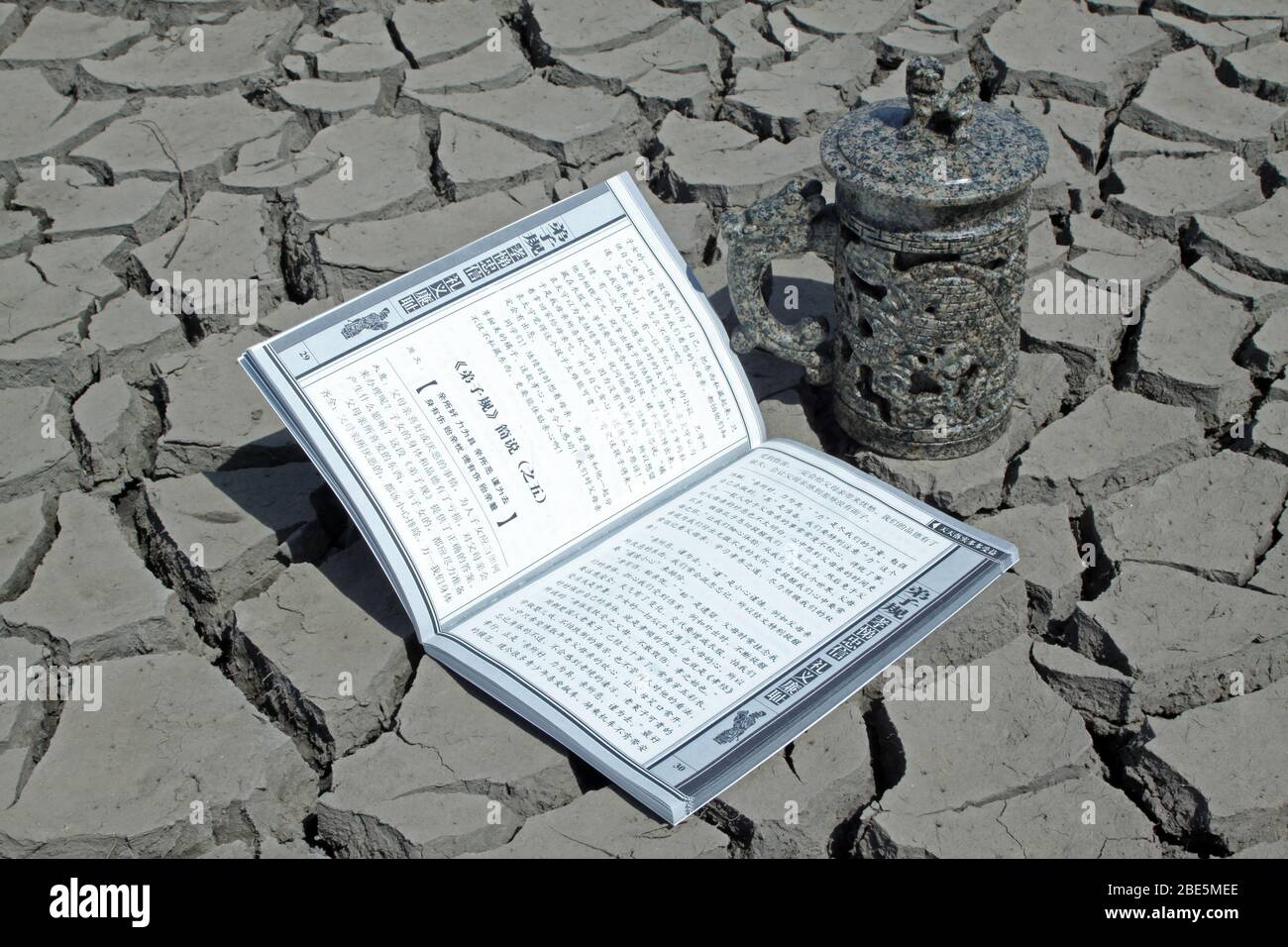 primo piano di libro e coppa in terra asciutta, immagini creative, metafora della conoscenza come acqua di sorgente, come è indispensabile per la gente. Foto Stock