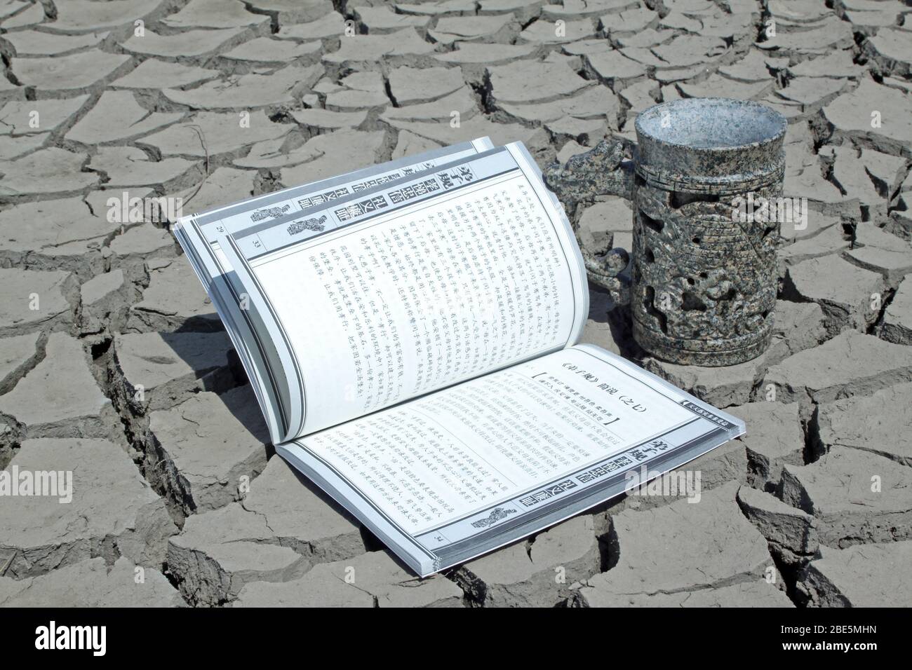 primo piano di libro e coppa in terra asciutta, immagini creative, metafora della conoscenza come acqua di sorgente, come è indispensabile per la gente. Foto Stock