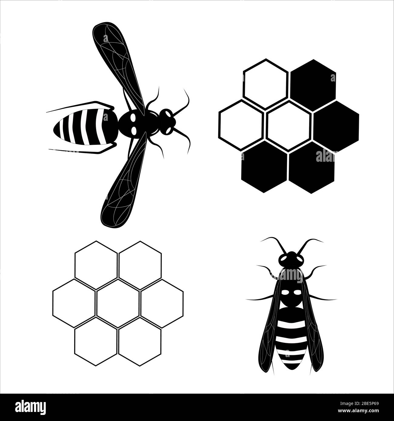 Wasp. Volanti Ape di miele. Illustrazione botanica. Animale di insetto, esotico. Vettore isolato su sfondo bianco. Nido d'ape. Illustrazione Vettoriale