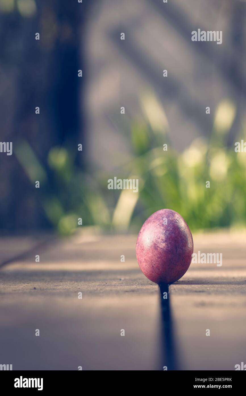 Uovo di Pasqua colorato alla luce del sole del giardino Foto Stock