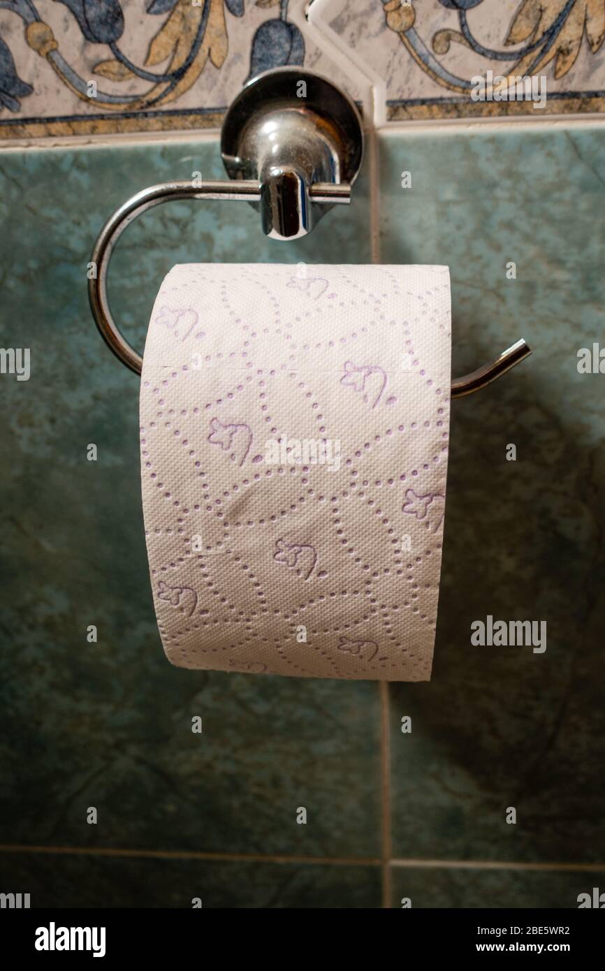 rotolo di carta igienica a parete Foto Stock