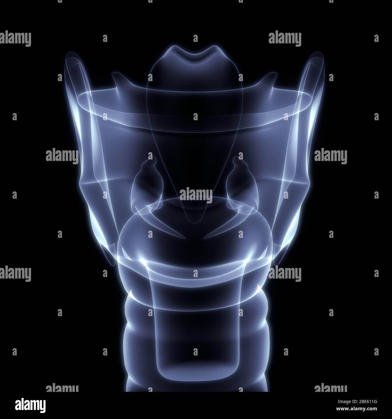 Organi interni umani Anatomia Larynx rendering 3D a raggi X. Foto Stock