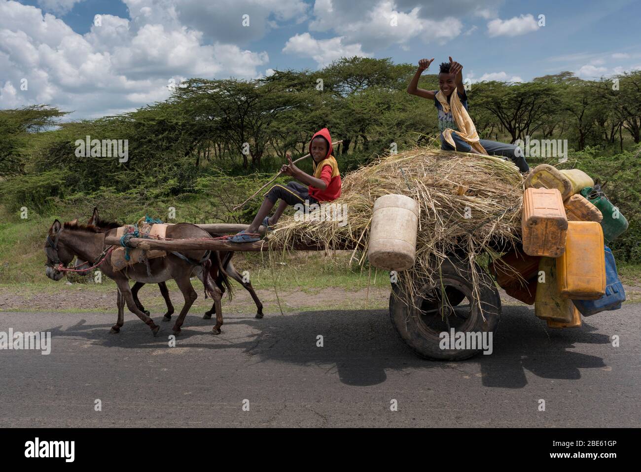 Due ragazzi guidano un carretto per l'asino per il mercato lungo l'autostrada, nel Parco Nazionale di Abijata-Shalla, nella Valle del Fiume Omo, Etiopia. Foto Stock