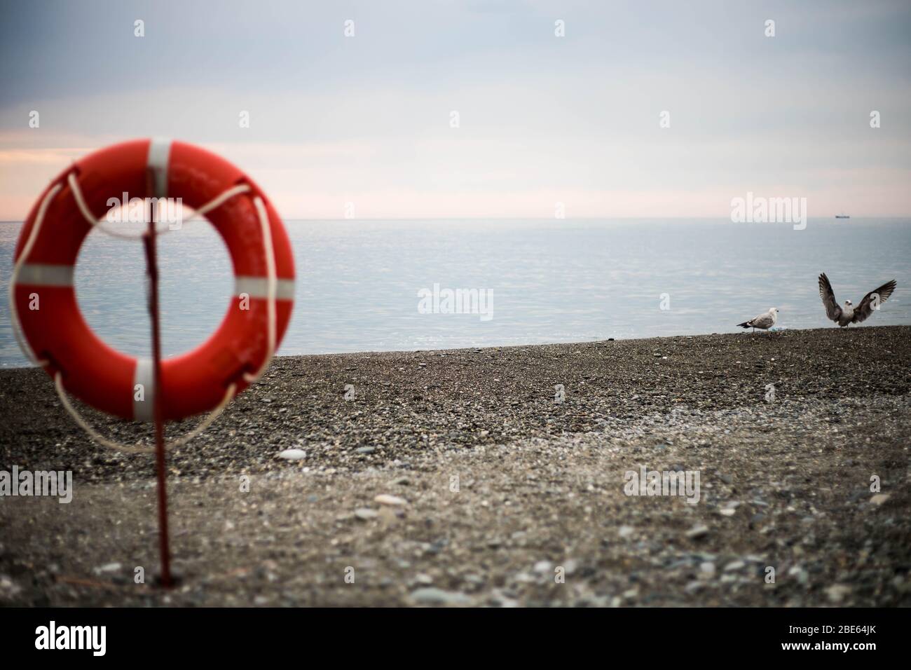 Lifebuoy sullo sfondo del Mar Nero. Foto Stock