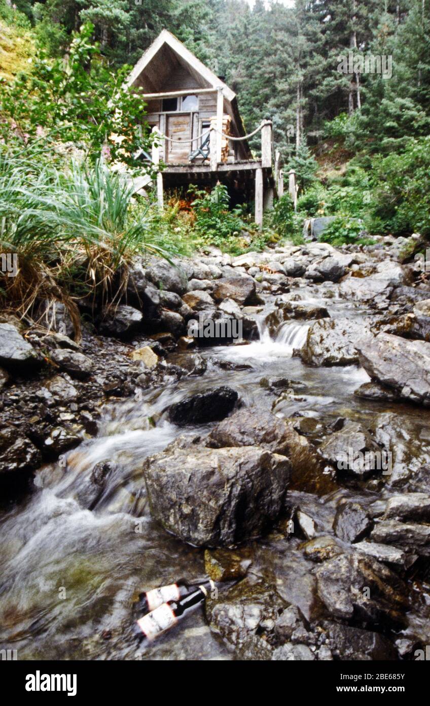 Creek con piccole rapide su rocce dove la birra si sta rinfrescando in acqua con una cabina di legno nella foresta, Sadie Cove, Kachemak Bay state Park, Homer, A. Foto Stock