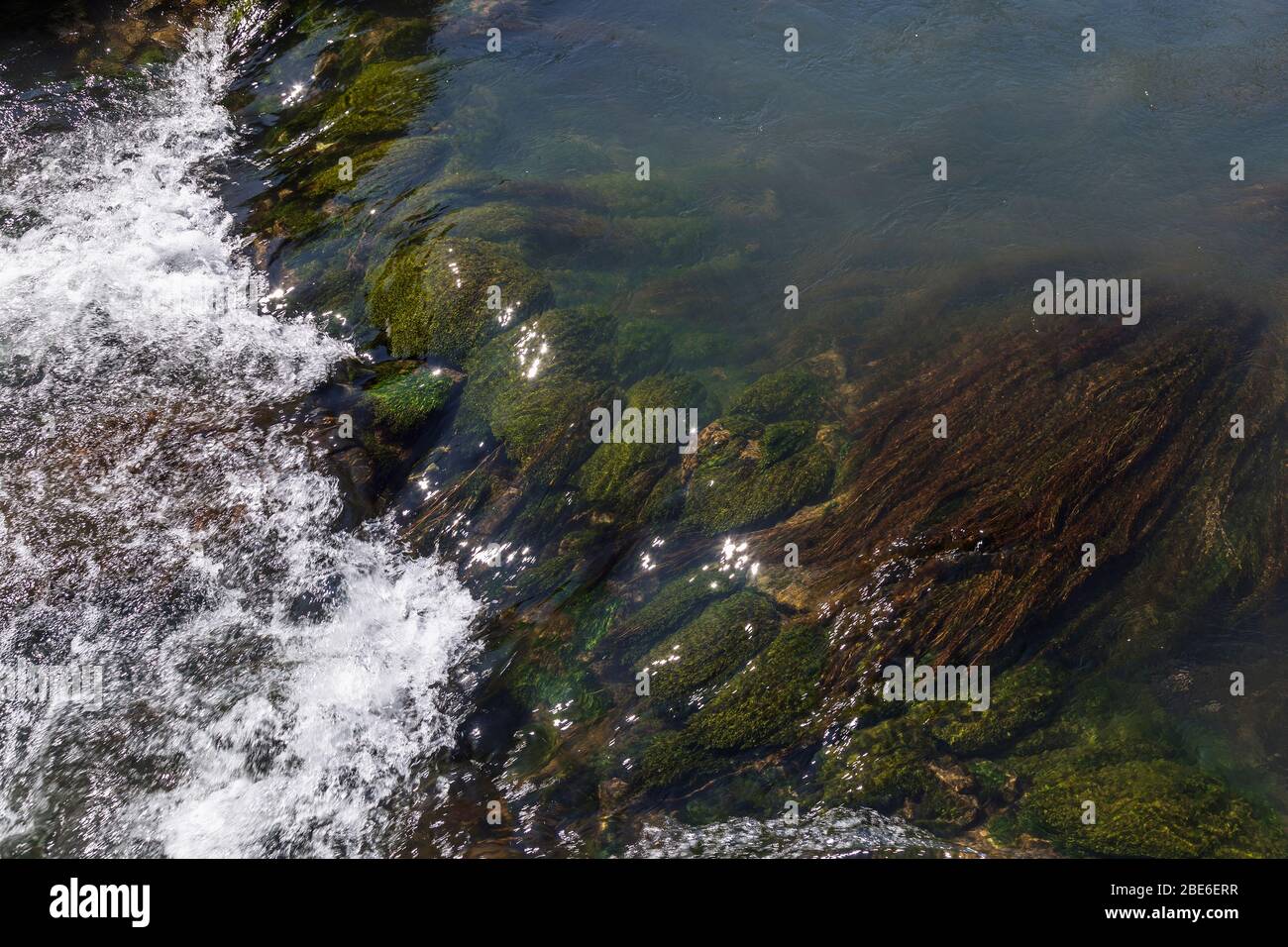 colori della molla sulla fonte di acqua Foto Stock