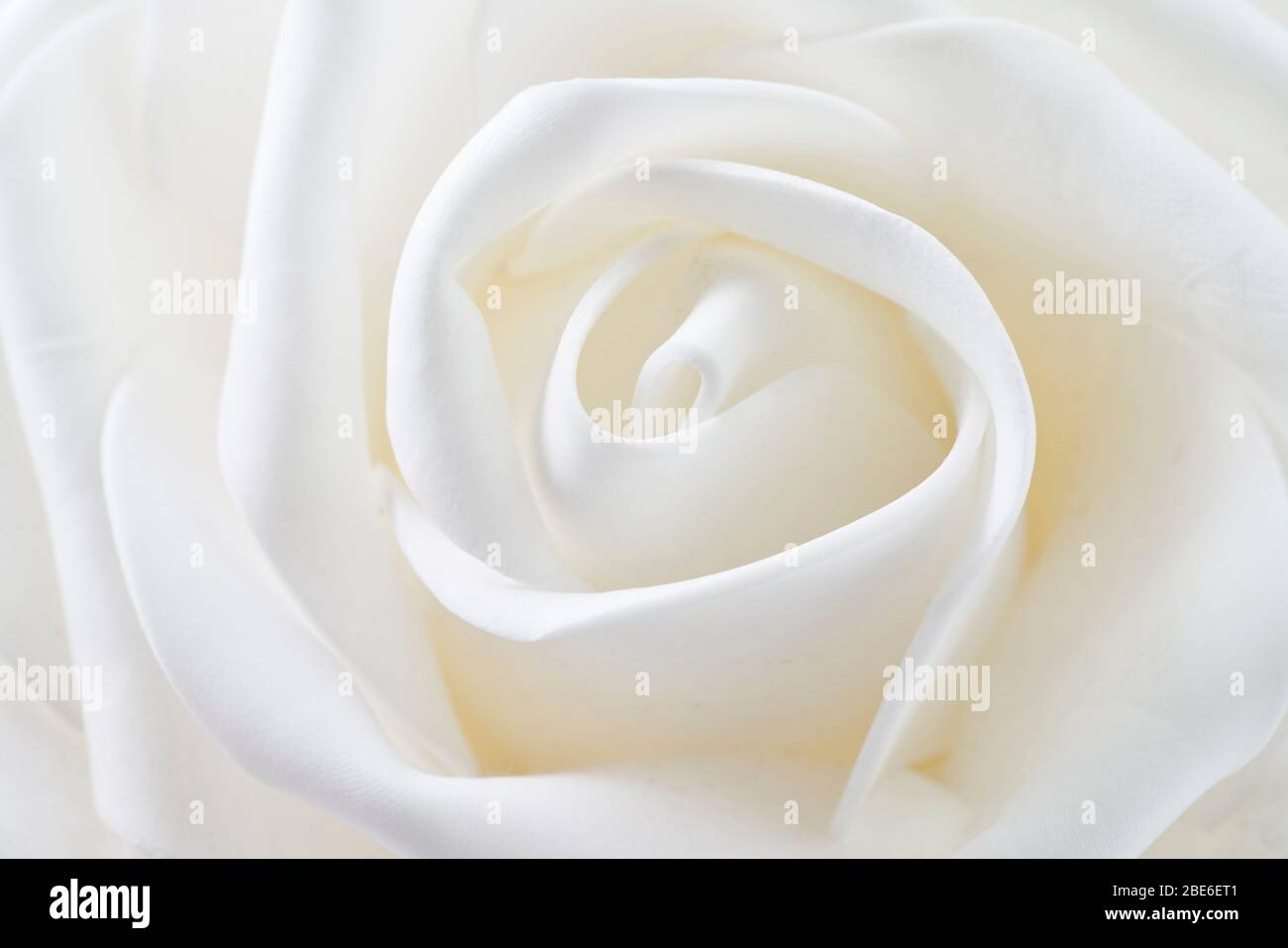 forme ondulate a forma di fiore bianco Foto Stock