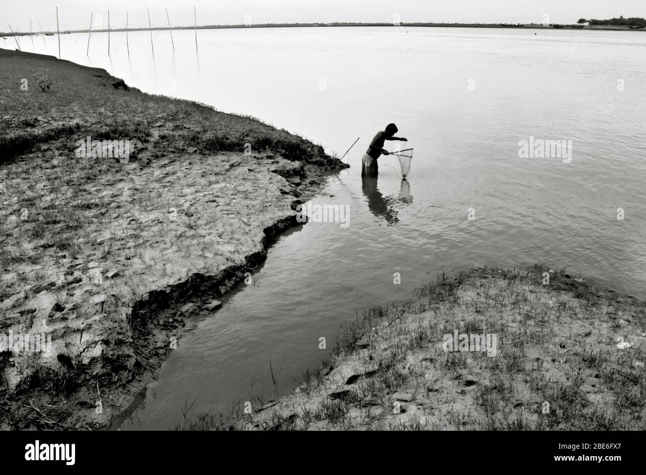 caccia di granchi al fiume matla che inscatola sud 24 pargana ovest bengala india Foto Stock