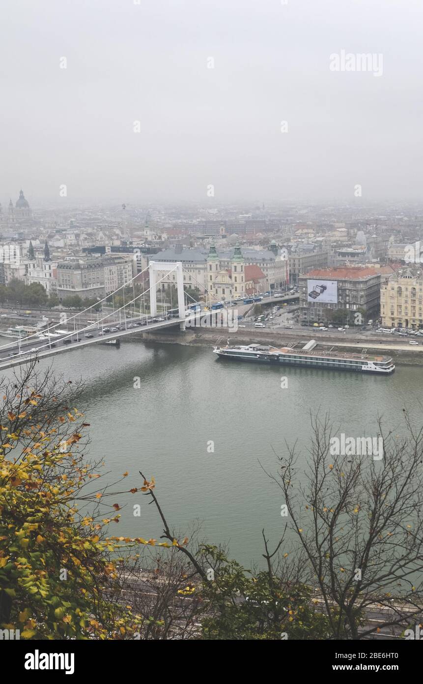 Budapest, Ungheria - 6 novembre 2019: La città della capitale ungherese con il Danubio e il Ponte Elisabetta. La città vecchia sullo sfondo. Giorno piovoso di overcast. Alberi autunnali in primo piano. Foto verticale. Foto Stock