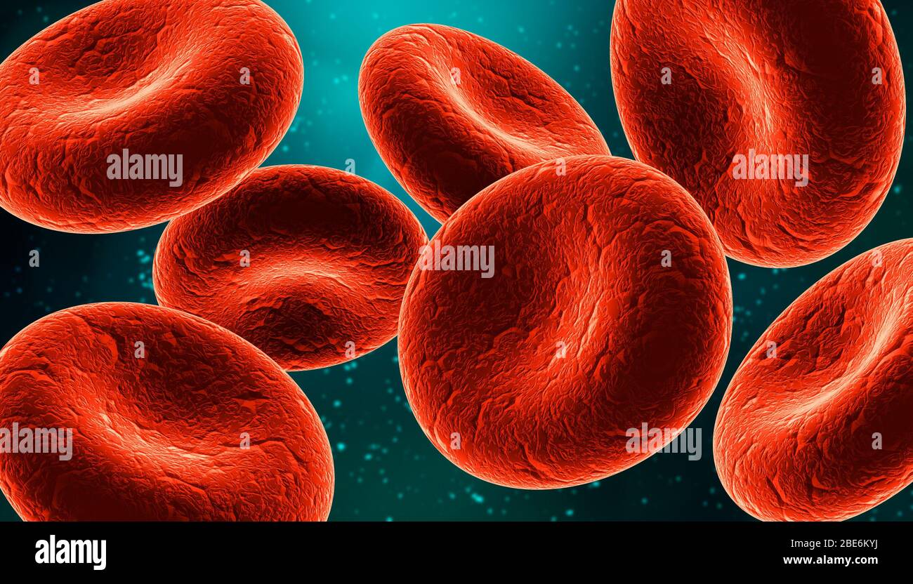 Gruppo di globuli rossi in primo piano su sfondo blu immagine 3D rendering. Biomedica, microbiologia, biologia, medicina, anatomia, scienza. Foto Stock