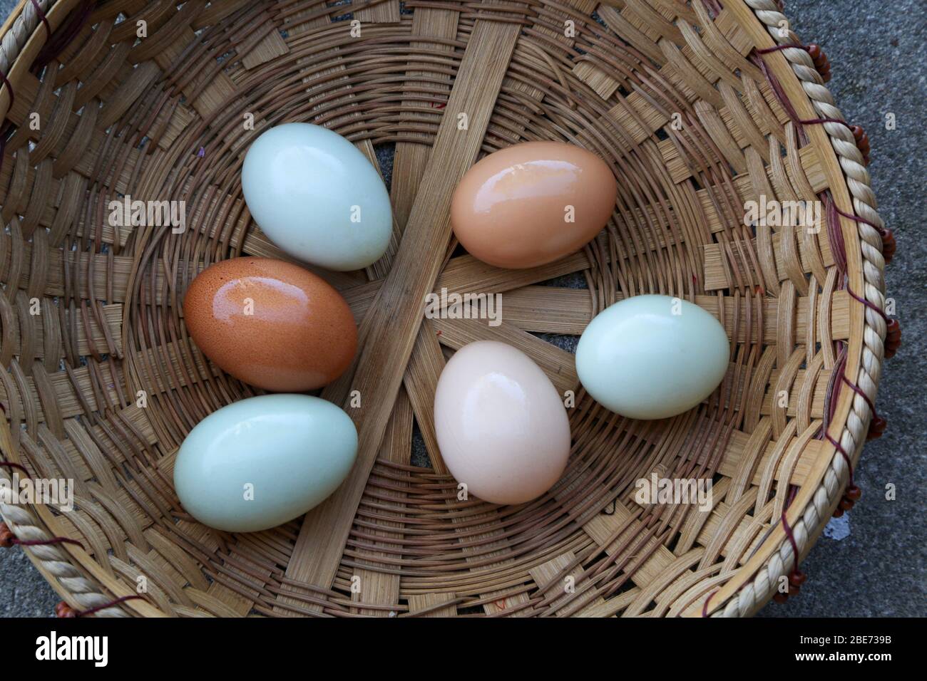 Uova fresche colorate in un cestino intrecciato a mano Foto Stock