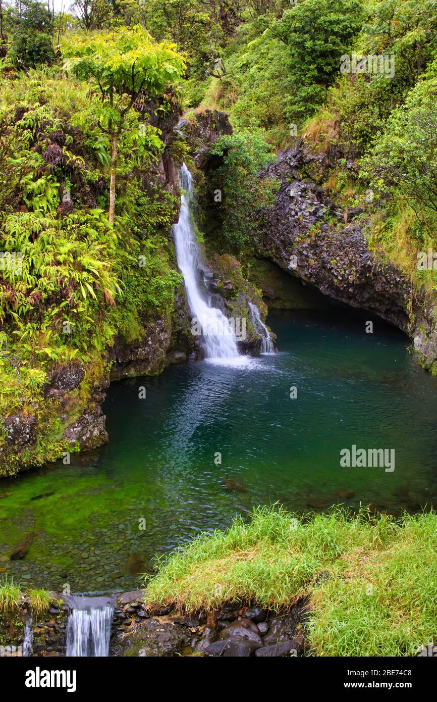 Cascata che scorre rapidamente nella foresta pluviale sulla strada per hana su Maui. Foto Stock