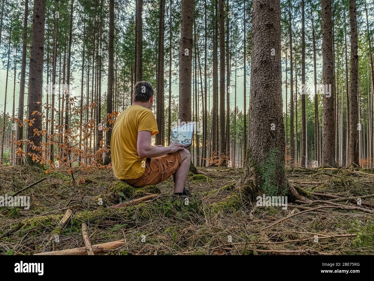 Mentre ti godi il lavoro all'aria aperta, un uomo lavora con il suo laptop in una foresta naturale. Foto Stock