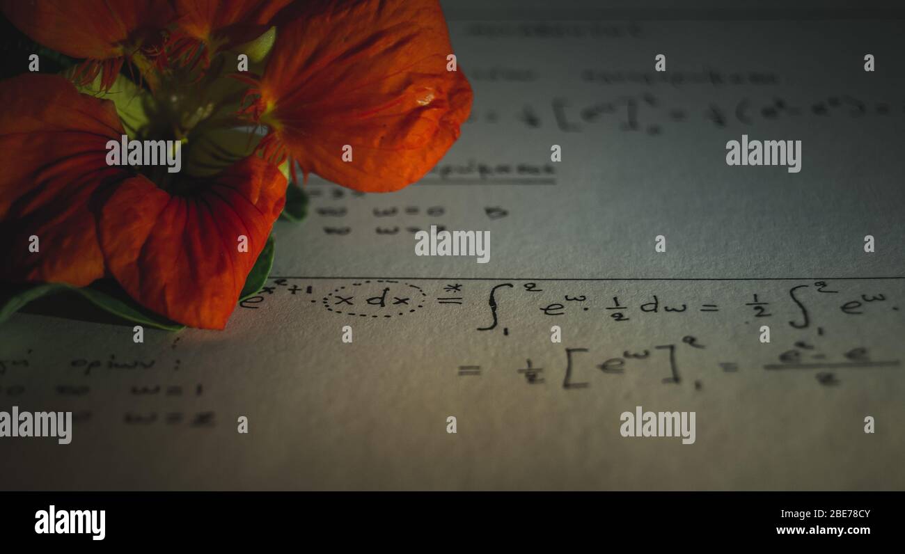 Fiorire su un'equazione carta-matematica Foto Stock