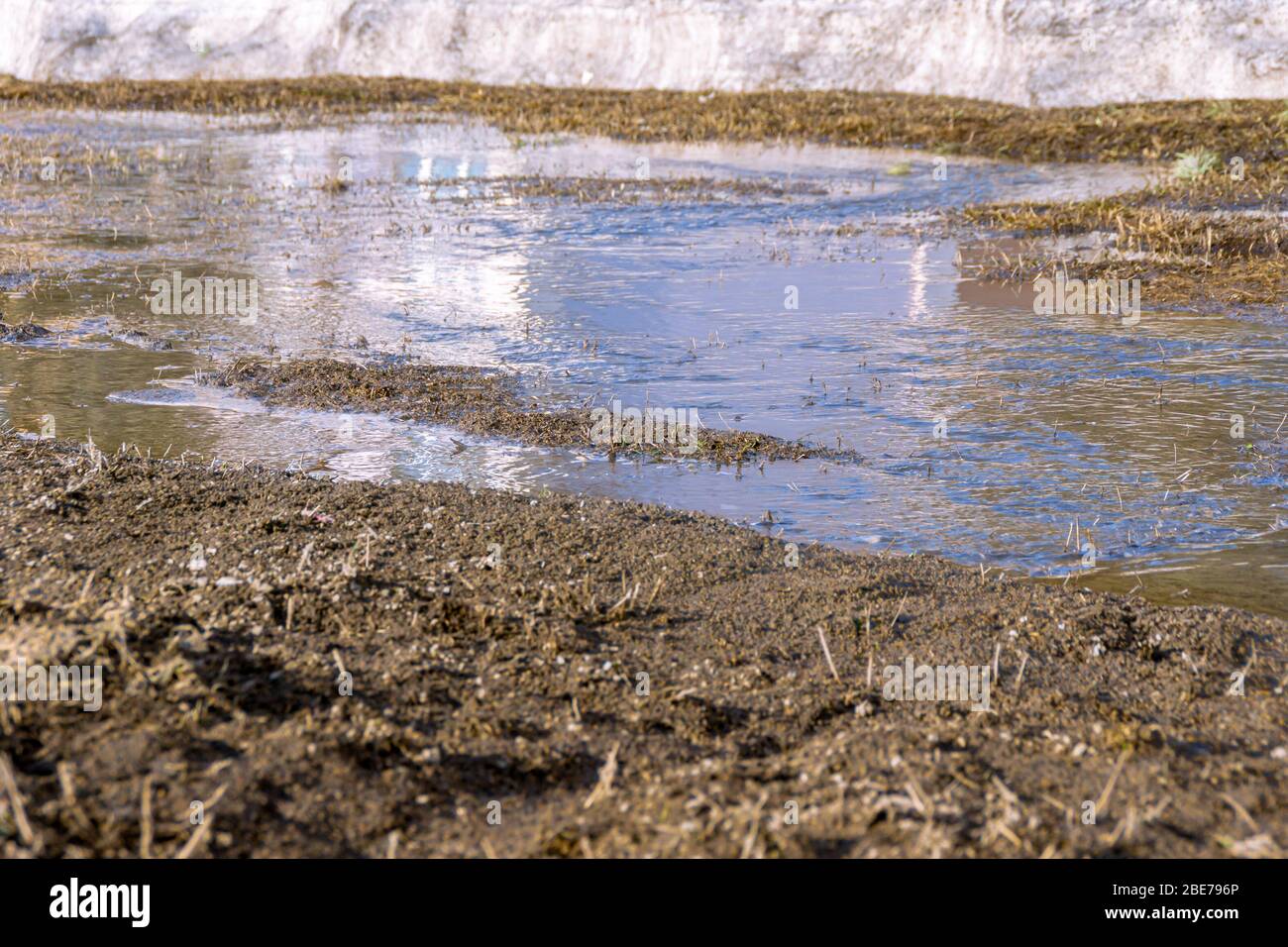 i flussi di molla provenienti dalla neve di fusione fluiscono sulla superficie terrestre a causa di fognature e fognature per tempesta congelate o difettose e pozzi di tempesta difettosi con griglie Foto Stock