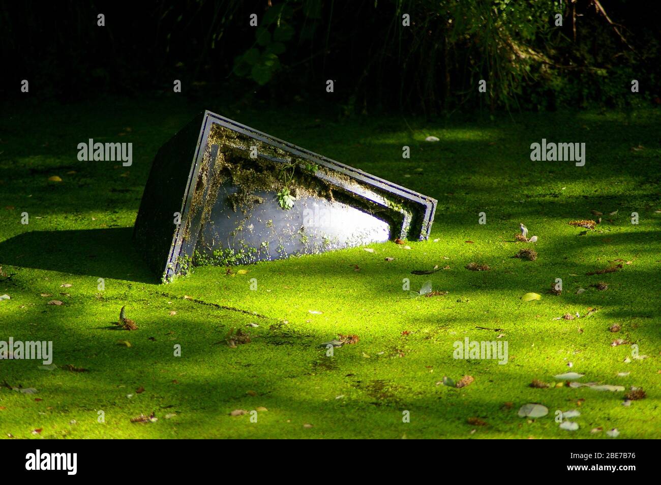 Monitor TV scartato in un canale coperto di alghe Foto Stock