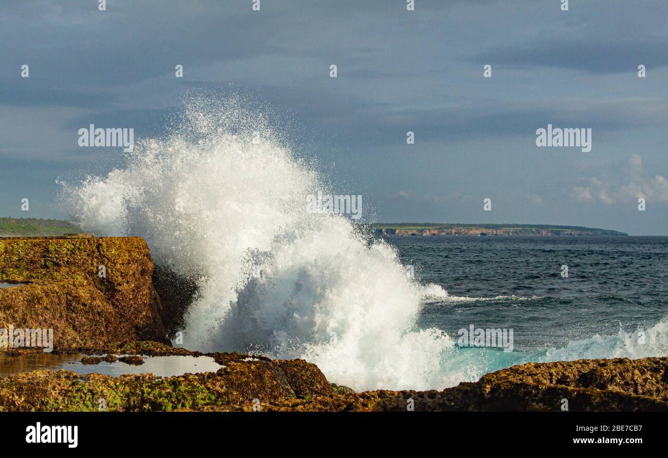 I blolli di Tongatapu del Regno di Tonga Foto Stock