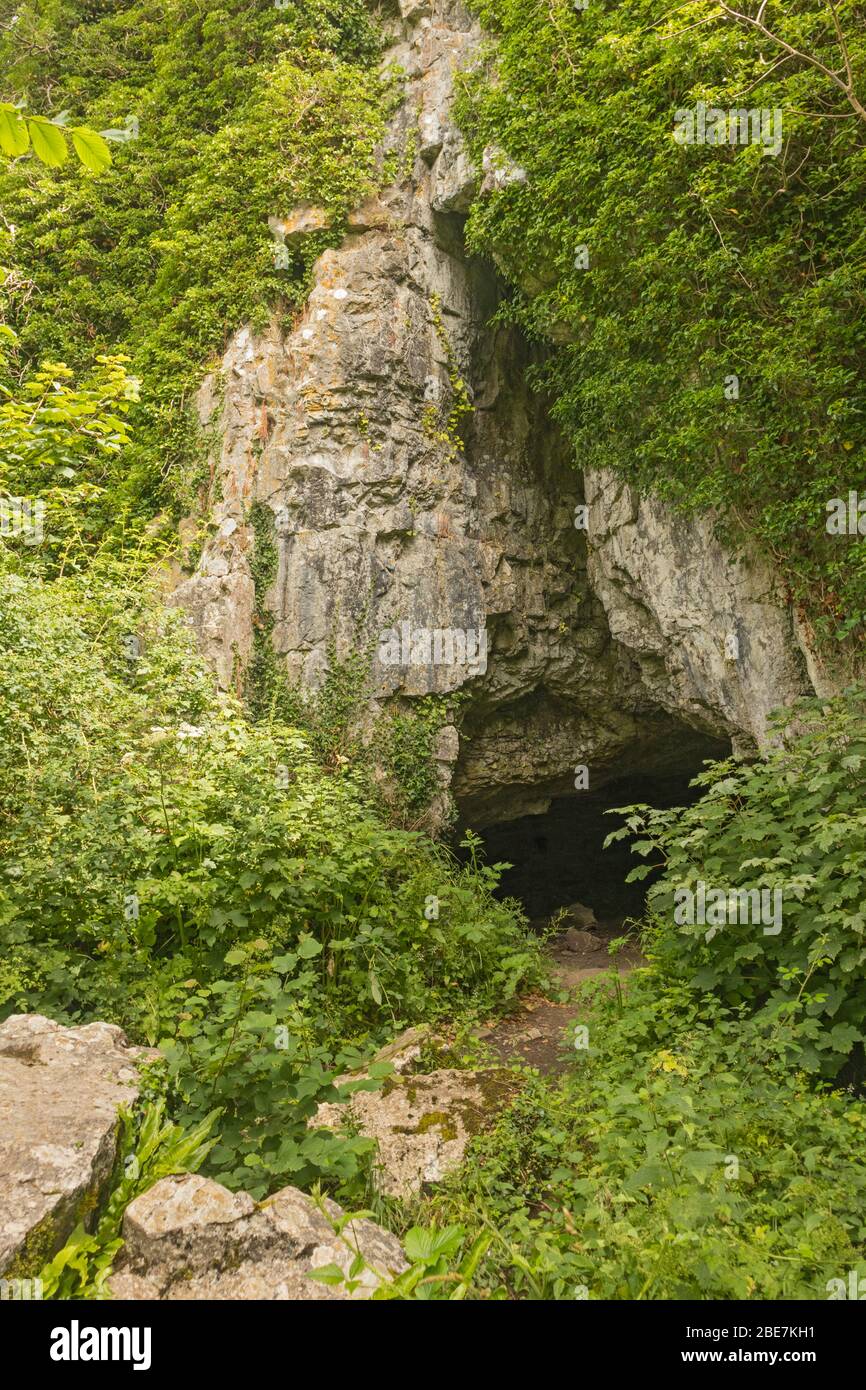 Cathole Cave, Parc-le-Breos, Parkmill, Gower Peninsula, Swansea, Galles del Sud, Regno Unito Foto Stock