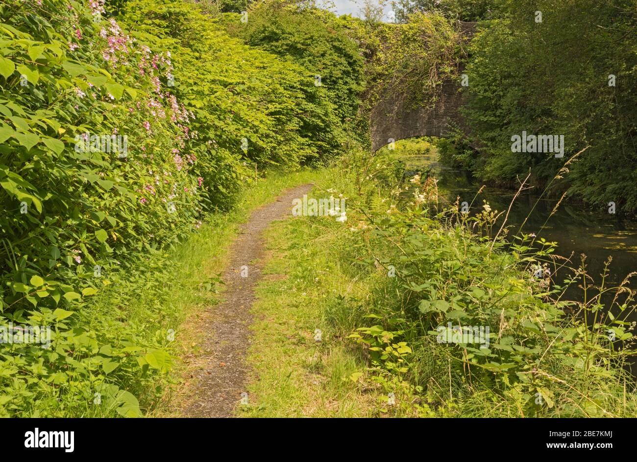 Tennant Canal, vicino all'Abbazia di Neath, Neath Port Talbot, Galles del Sud, Regno Unito Foto Stock