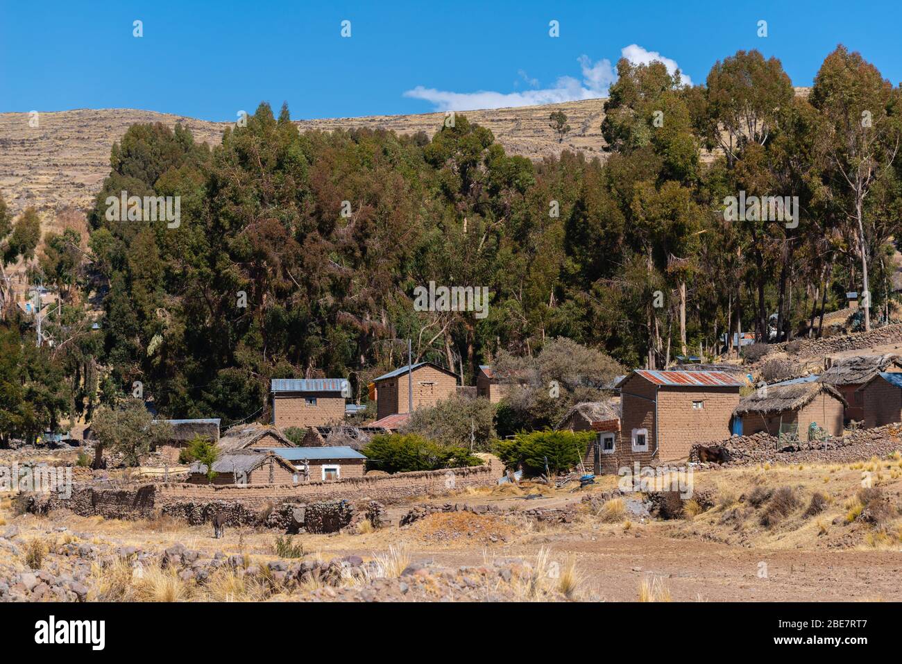 Peninsula Huata, Department la Paz, Bolivia, America Latina Foto Stock