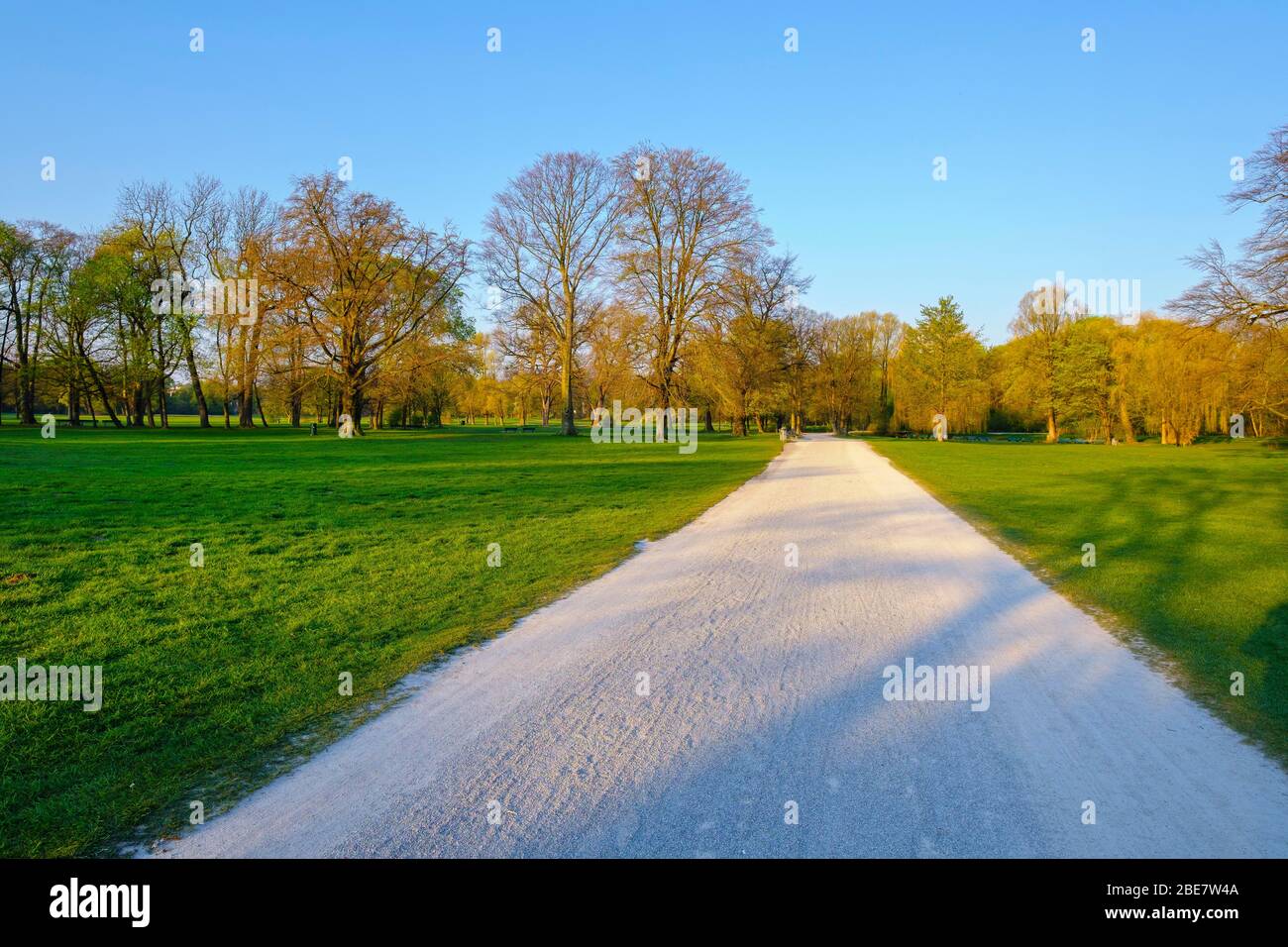 Sentiero nel deserto Giardino Inglese, coprifuoco, Monaco, alta Baviera, Baviera, Germania Foto Stock