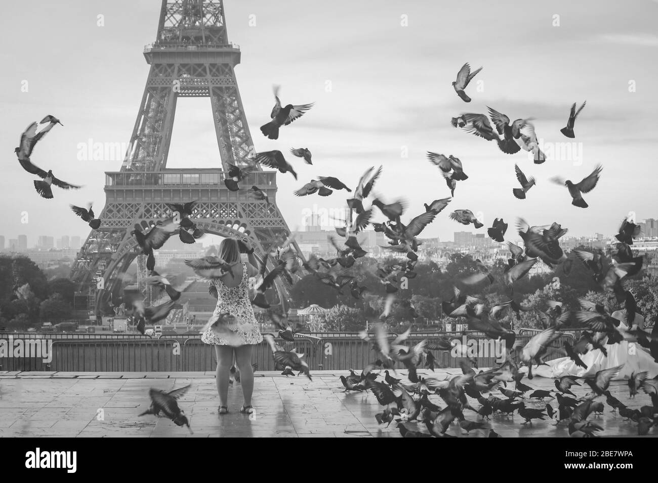 focalizzazione sul turista che prende le foto sulla torre eiffel con i piccioni che volano intorno Foto Stock