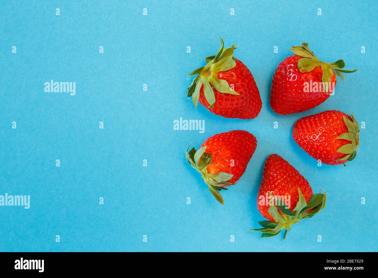 Gustose fragole fresche su sfondo blu Foto Stock