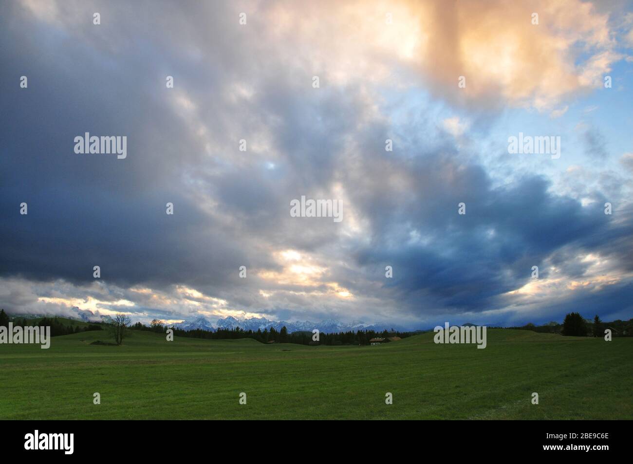 Paesaggio collinare ai piedi delle Alpi Bavaresi vicino a Steingaden nel Allgäu, sullo sfondo i Monti Tannheim, Swabia, Baviera, Germania, UE Foto Stock