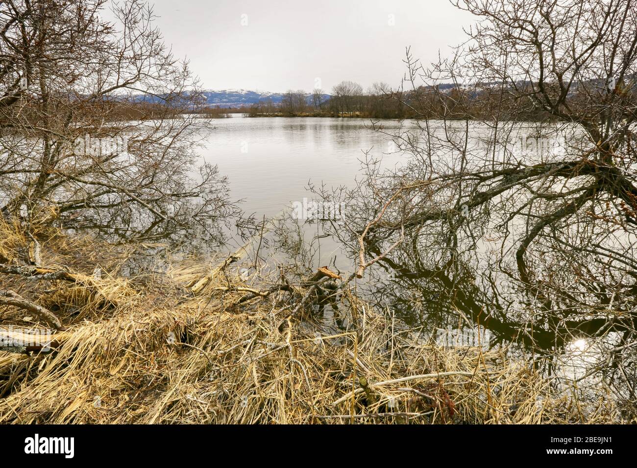 Alluvione di primavera al fiume Gaula nella riserva naturale Leinoera Foto Stock