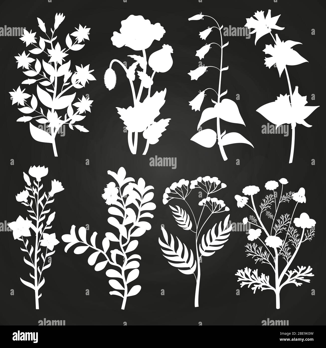 Silhouette bianche a base di erbe e fiori su lavagna. Ramo d'epoca floreale. Illustrazione vettoriale Illustrazione Vettoriale