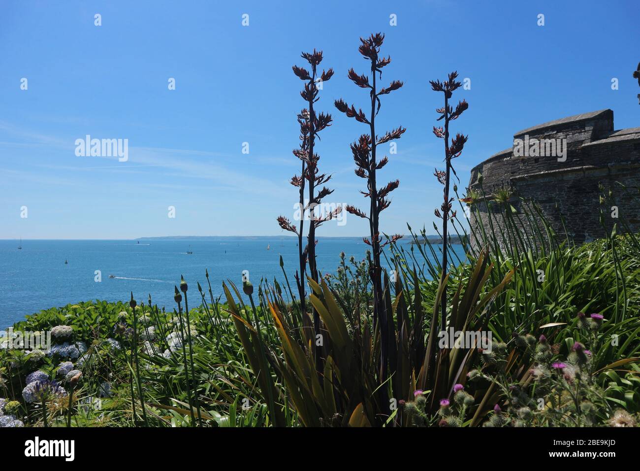 Castello di San Mawes in una giornata di sole. Foto Stock