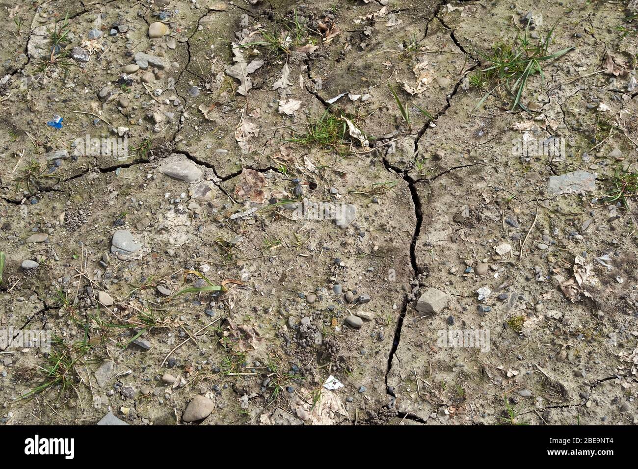 Terra cracked che mostra secchezza del terreno risultante insolita mancanza di pioggia nel Regno Unito. La primavera in Gran Bretagna è normalmente un periodo molto umido dell'anno, ma no Foto Stock
