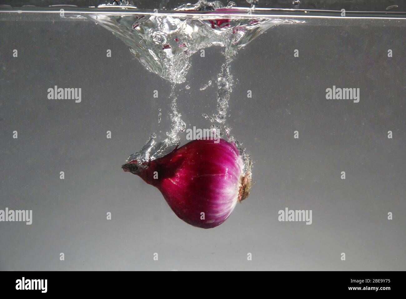 Foto di cipolla rossa fresca gocciolata in acqua Foto Stock