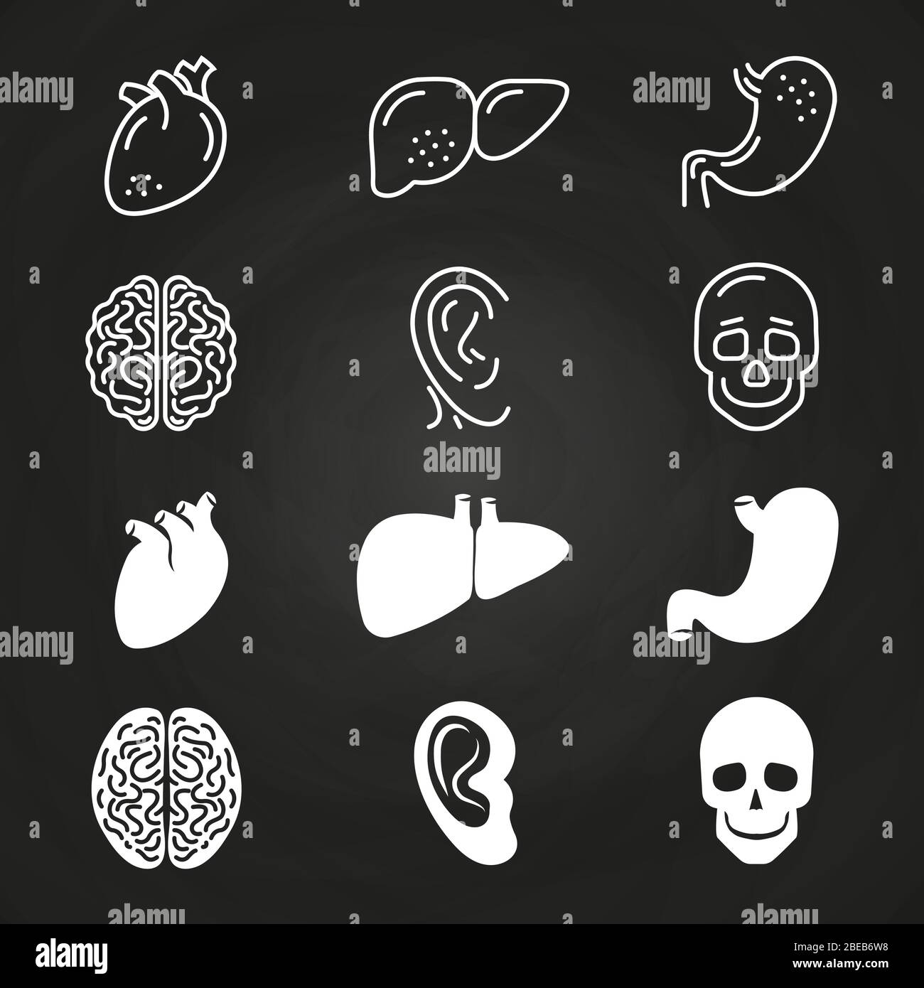 Linea e contorno degli organi umani bianchi sulla lavagna. Illustrazione vettoriale Illustrazione Vettoriale