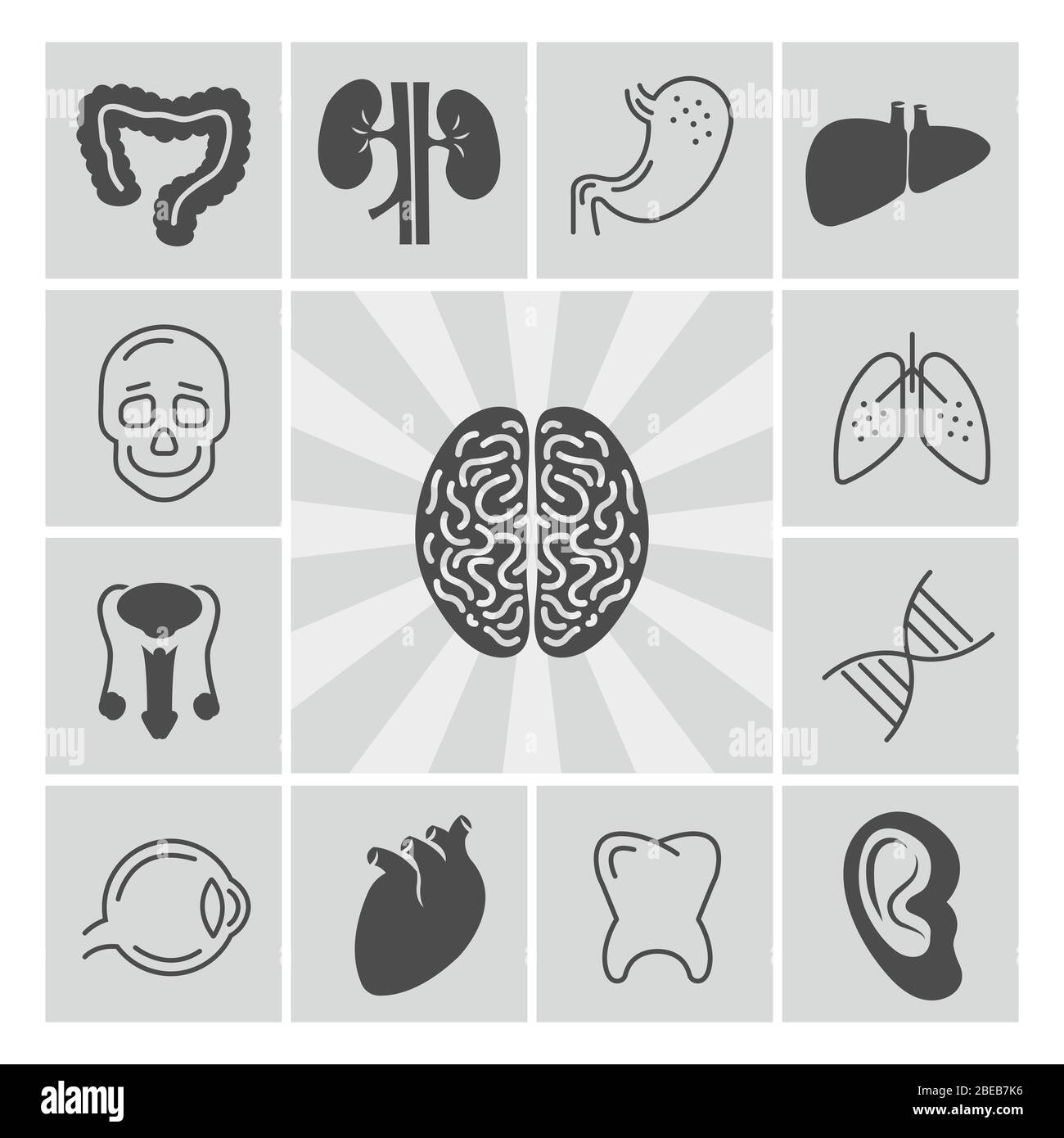 Icone di linee sottili e silhouette per organi umani. Illustrazione vettoriale Illustrazione Vettoriale