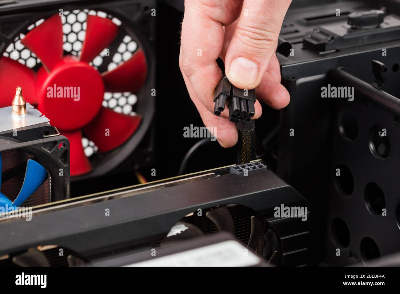 il tecnico del pc tiene a mano il connettore di alimentazione della scheda  video a 6 più 2 pin durante la manutenzione Foto stock - Alamy
