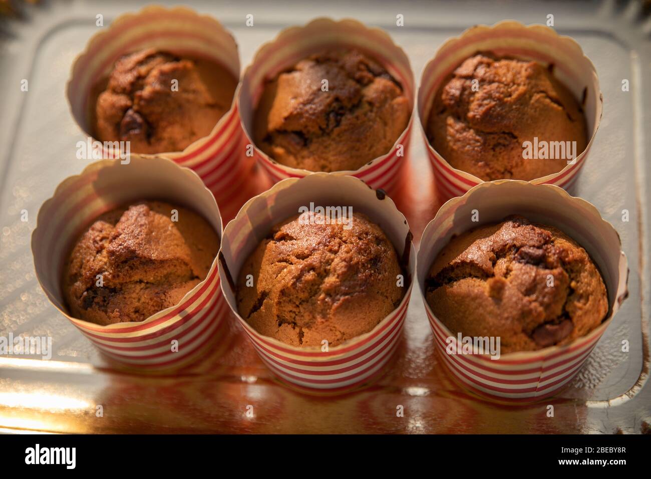 muffin appena sfornati sul vassoio vista dall'alto Foto Stock